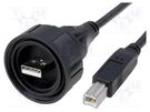 Cable; USB Buccaneer; USB A plug,USB B plug; IP68; 5m BULGIN