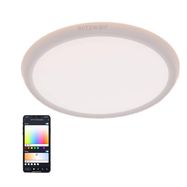 LED Smart Ceiling Light BlitzWill BW-CLT1, BlitzWolf