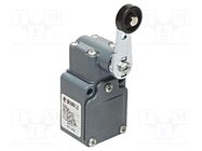 Limit switch; lever R 49mm, plastic roller Ø20mm; NO + NC; 6A PIZZATO ELETTRICA