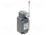 Limit switch; adjustable plunger, length R 19-116mm; NO + NC PIZZATO ELETTRICA