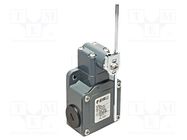 Limit switch; adjustable plunger, length R 19-116mm; NO + NC PIZZATO ELETTRICA