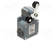 Limit switch; lever R 40mm, plastic roller Ø20mm, double; 10A PIZZATO ELETTRICA