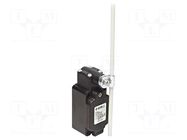 Limit switch; adjustable fiber glass rod, R 19- 189mm; NO + NC PIZZATO ELETTRICA