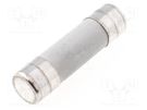 Fuse: fuse; gR; 10A; 690VAC; ceramic,cylindrical,industrial DF ELECTRIC