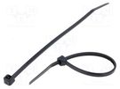 Cable tie; L: 142mm; W: 2.5mm; polyamide; 78.5N; black; Ømax: 35mm KSS WIRING