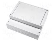 Enclosure: wall mounting; X: 296mm; Y: 261mm; Z: 112mm; ABS; grey BOPLA