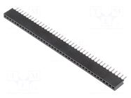 Connector: pin strips; socket; female; PIN: 40; straight; 1A; THT CONNFLY