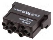 Connector: HDC; module; male; 400V; PIN: 10; w/o contacts AMPHENOL