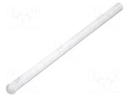 Fiber for LED; Ø3.2mm; L: 45mm; round; Front: convex; straight MENTOR