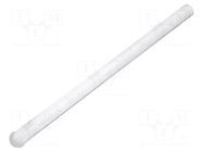 Fiber for LED; Ø3.2mm; L: 45mm; round; Front: convex; straight MENTOR