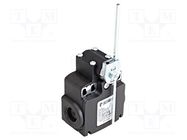 Limit switch; adjustable plunger, length R 19-116mm; NO + NC PIZZATO ELETTRICA