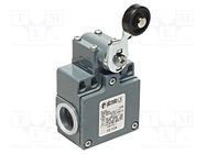 Limit switch; lever R 43mm, plastic roller Ø20mm; NO + NC; 10A PIZZATO ELETTRICA
