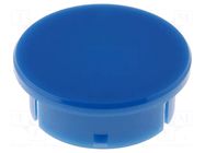 Cap; polyamide; blue; 21mm; -20÷70°C RITEL