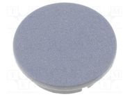 Cap; plastic; grey; push-in; G4311.6131 MENTOR