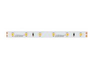 LED strip 300/5m SMD 24V 6500K 4,8W IP20 8mm 5m 400lm/m PRIME