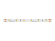 LED strip 300/5m SMD 24V 6500K 4,8W IP20 8mm 30m 400lm/m PRIME