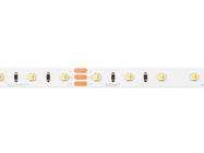 LED line strip 300 SMD 24V 3000-6500K 9,6W MULTIWHITE