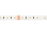 LED strip 300/5m SMD 24V 3000-6500K 9,6W IP20 MULTIWHITE 10mm 5m 800lm/m PRIME
