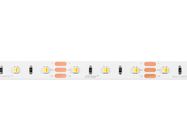 LED strip 300/5m SMD 12V 3000-6500K 9,6W IP20 MULTIWHITE 10mm 5m 800lm/m PRIME