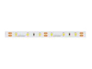 LED line® strip 300 SMD 12V 11000K 4,8W 30m