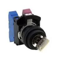 KEY OPERATED SW, DPST, 10A, 110VAC, 3POS