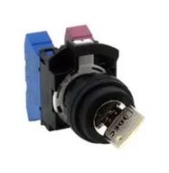 KEY OPERATED SW, DPST, 10A, 110VAC, 2POS