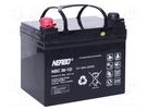 Re-battery: acid-lead; 12V; 36Ah; AGM; maintenance-free; 10.2kg NERBO