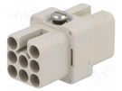 Connector: HDC; contact insert; female; C146,heavy|mate D; PIN: 8 AMPHENOL