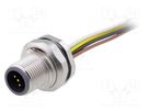 Socket; M12; PIN: 5; male; A code-DeviceNet / CANopen; cables; 0.5m CONEC