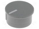Cap; thermoplastic; push-in; Pointer: white; grey CLIFF