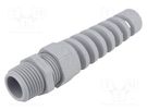 Cable gland; with strain relief; NPT1/2"; IP68; polyamide; grey LAPP