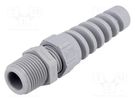 Cable gland; with strain relief; NPT3/8"; IP68; polyamide; grey LAPP