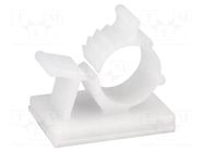 Self-adhesive cable holder; 7.9÷10.3mm; polyamide; natural FIX&FASTEN
