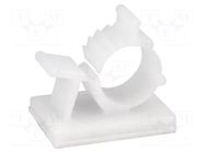 Self-adhesive cable holder; 7.9÷10.3mm; polyamide; natural FIX&FASTEN