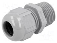 Cable gland; NPT1/2"; IP68; polyamide; grey; SKINTOP® LAPP