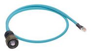 ETHERNET CABLE, RJ45 PLUG, CAT5E, 300MM