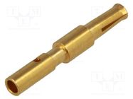 Contact; female; copper alloy; gold-plated; 26AWG÷22AWG; crimped BULGIN