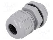 Cable gland; PG11; IP68; polyamide; dark grey; UL94V-2; GWconnect 