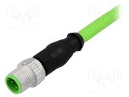 Plug; M12; PIN: 4; male; D code-Ethernet; 2m; Type: with lead; cables HARTING