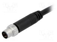 Connector: M8; 5m; male; PIN: 3; straight; plug; 3A; IP67; 60V AMPHENOL LTW