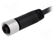 Connector: M12; plug; female; PIN: 4; straight; 4A; 250V; IP68,IP69K AMPHENOL LTW