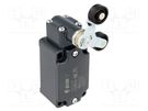 Limit switch; lever R 40mm, plastic roller Ø20mm, double; 10A PIZZATO ELETTRICA