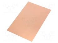 Laminate; FR4,epoxy resin; 0.8mm; L: 160mm; W: 100mm; double sided SOLDER PEAK