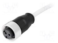 Plug; 7/8"; 1.5m; female; PIN: 3; straight; with lead; PVC HARTING