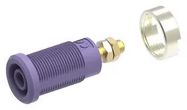 CONN, BANANA, JACK, 36A, STUD, PURPLE