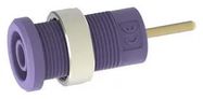 CONN, BANANA, JACK, 36A, TH, PURPLE