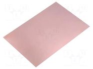 Laminate; FR4,epoxy resin; 1mm; L: 233mm; W: 160mm; Coating: copper SOLDER PEAK