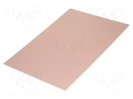 Laminate; FR4,epoxy resin; 0.6mm; L: 420mm; W: 297mm SOLDER PEAK