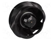 Fan: AC; radial; 230VAC; Ø220x71mm; ball; 2500rpm; IP44 EBM-PAPST