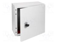 Enclosure: wall mounting; X: 300mm; Y: 300mm; Z: 200mm; CS; steel EATON ELECTRIC